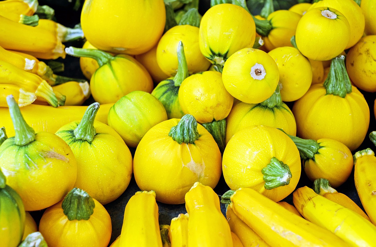 Round zucchini 