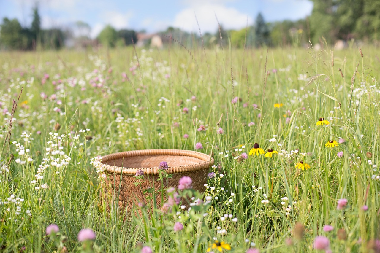 Blühstreifen in der Natur
