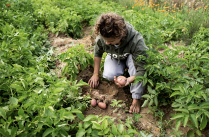 What to Plant Next to Potatoes: Companion Plants & Crop Rotation