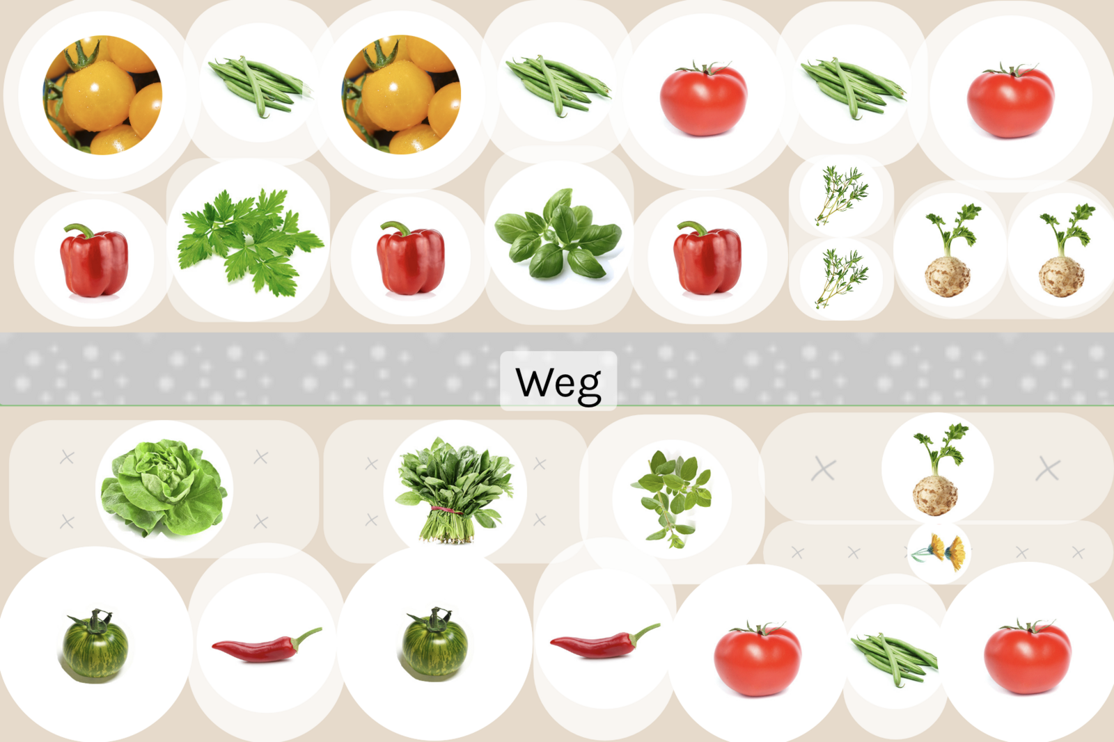 Mixed culture with tomato, digital bed plan