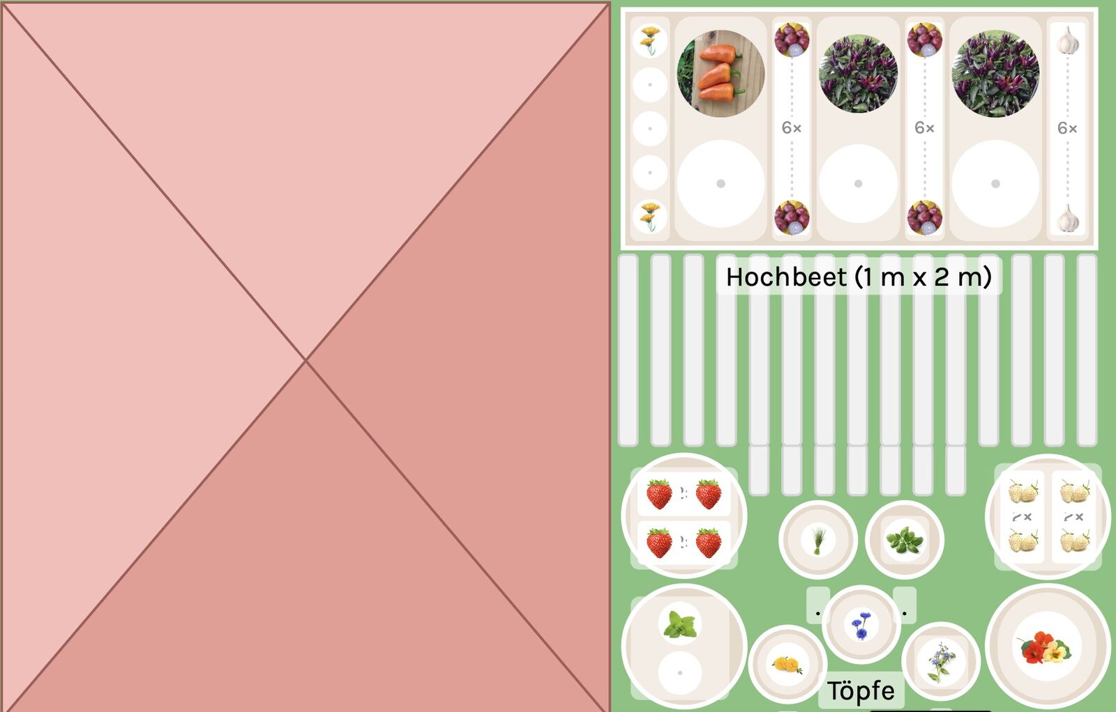 Planting chilli and peppers on the balcony