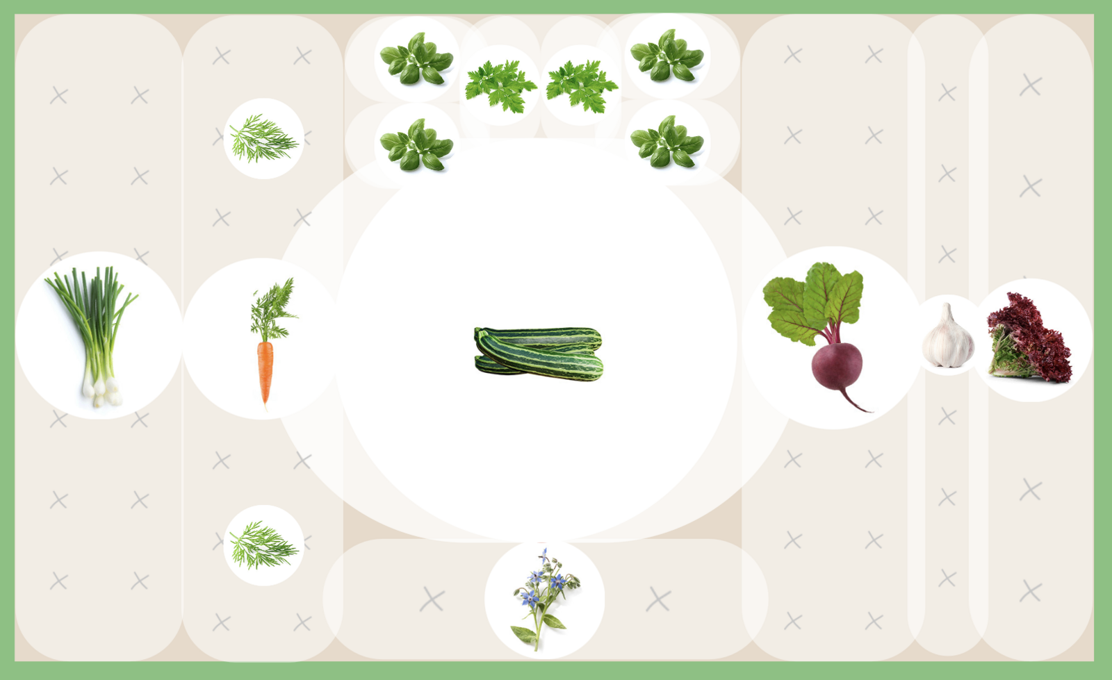 Mixed culture with zucchini, carrots & beet