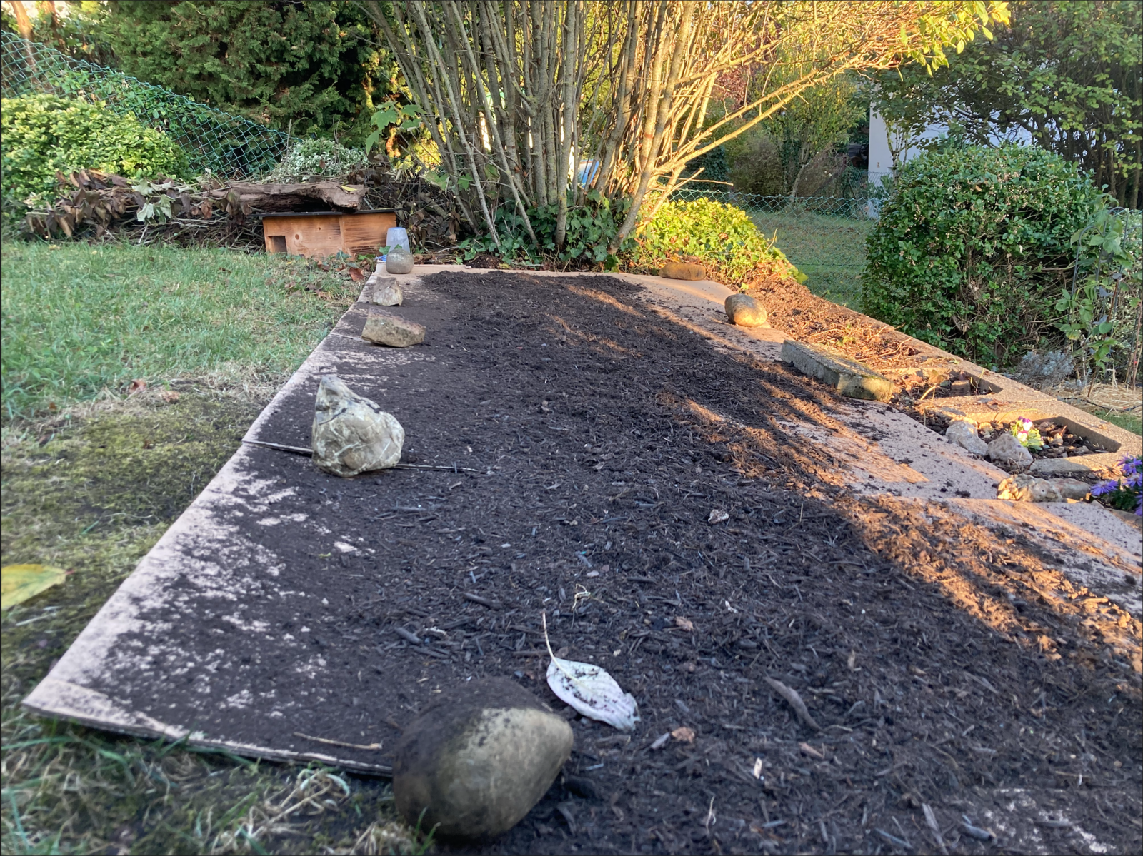 Sheet mulching with cardboard against weeds