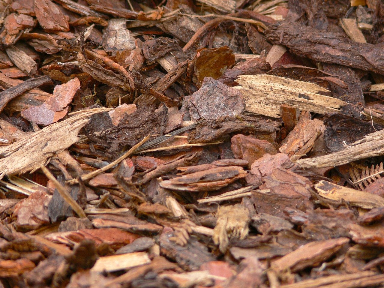 Bark mulch against weeds