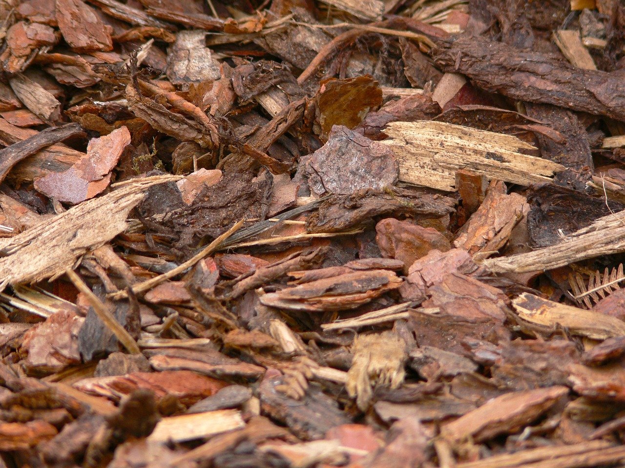 Rindenmulch gegen Unkraut