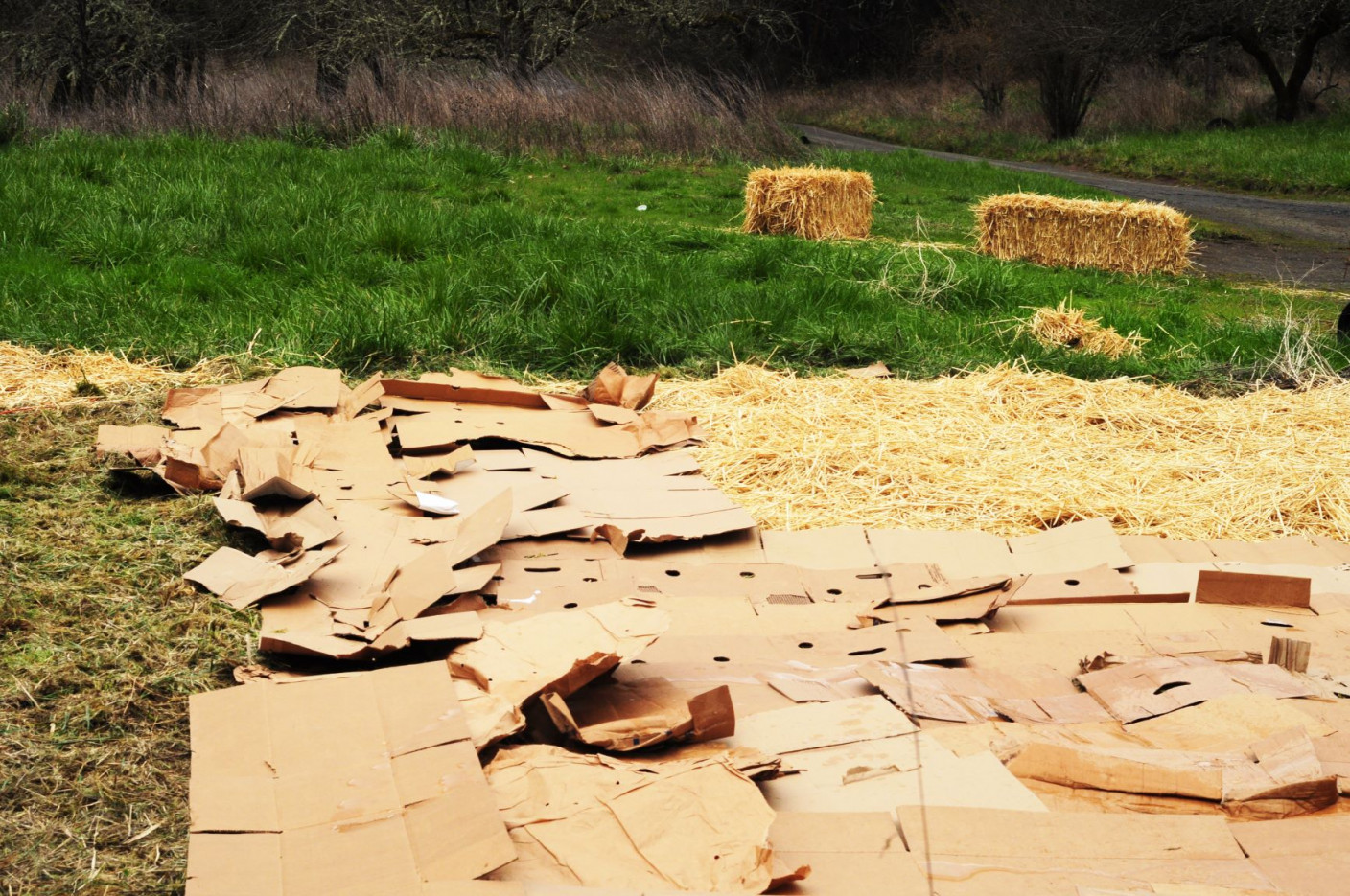 Cardboard and straw laid on soil as an insulating layer.