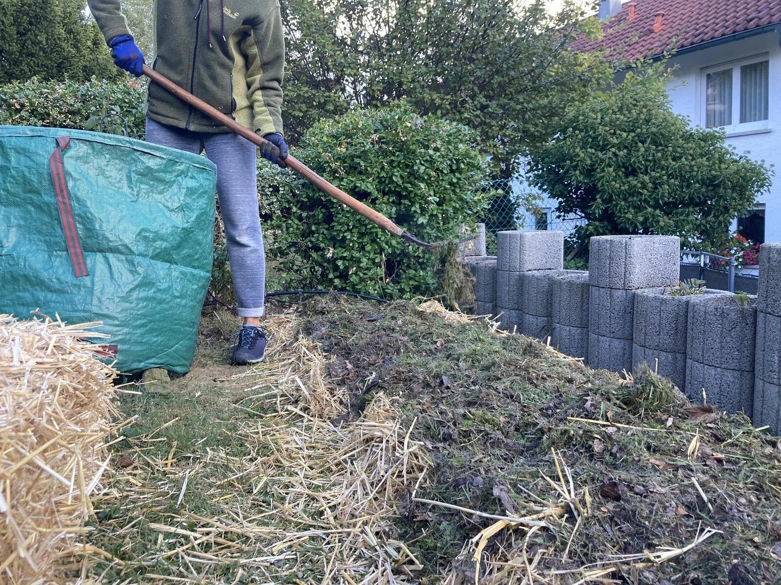 Cut grass as a second layer on the lasagne bed