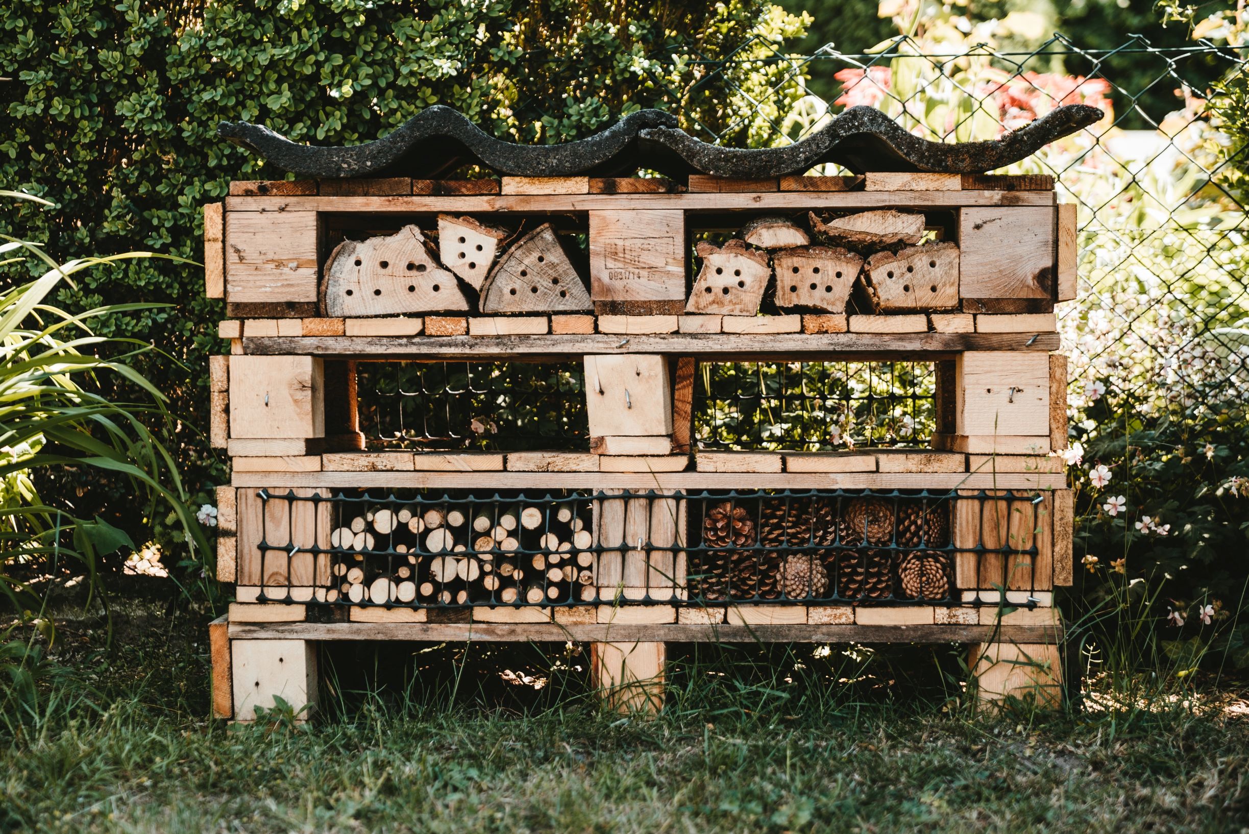 Insect hoarding in the garden