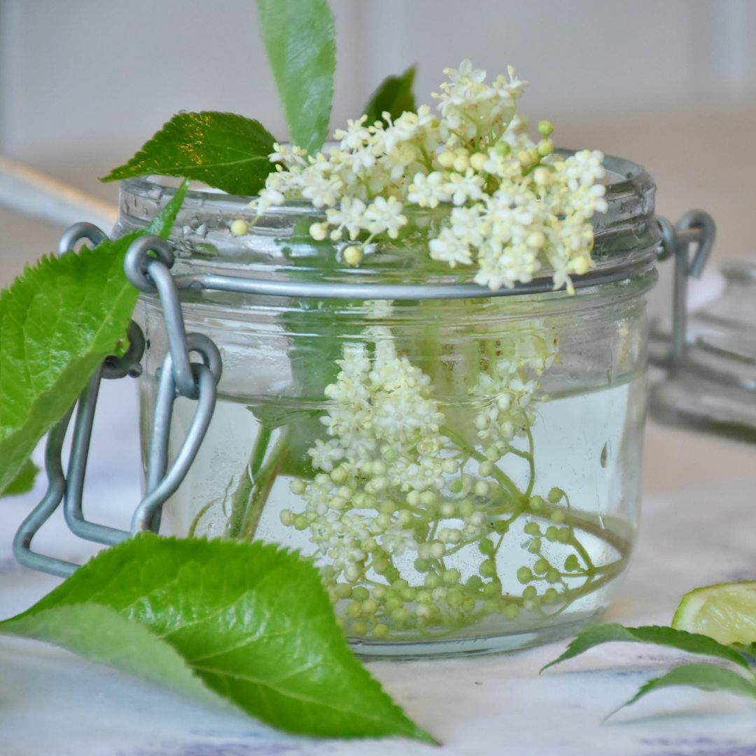 Holunderblütensirup