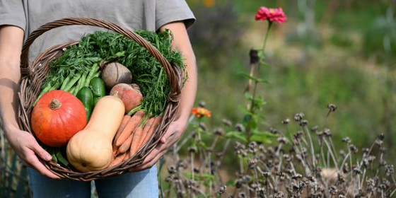 Rezept-Ideen aus der Fryd-Community