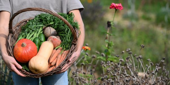 Rezept-Ideen aus der Fryd-Community