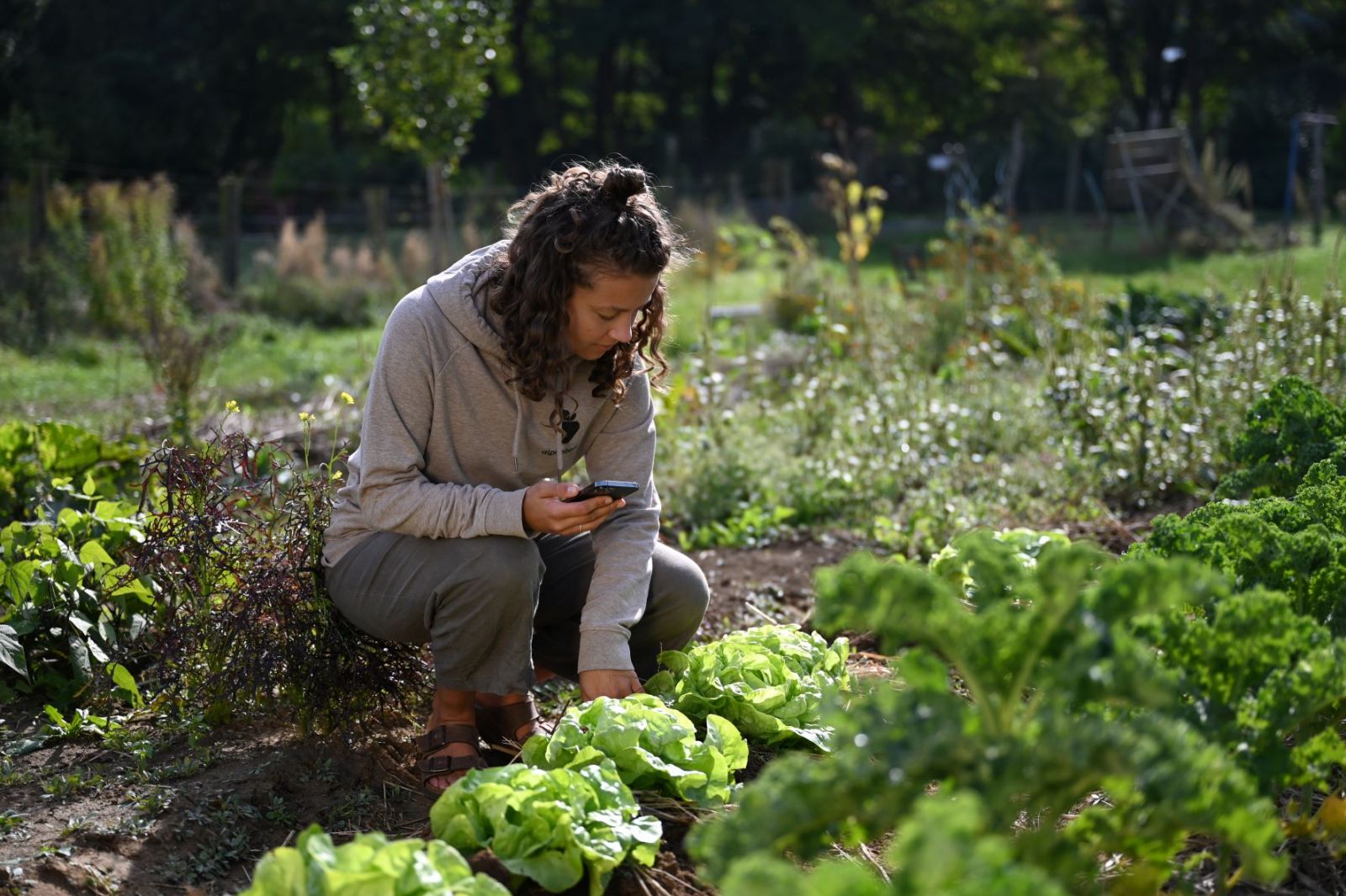 Frau kniet vor Beet und macht Beetplanung mit Fryd.