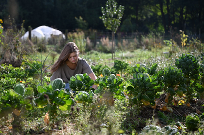 Naturgarten anlegen: Ökologisch und nachhaltig Gärtnern