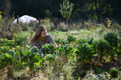 Creating a Natural Garden: Ecological & Sustainable Gardening