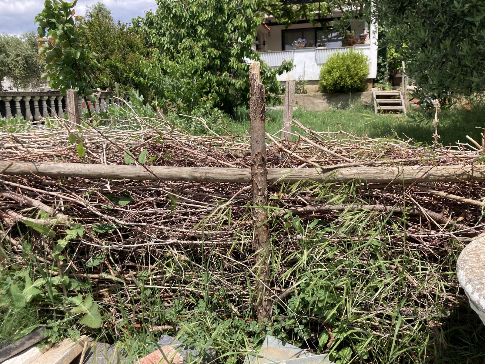 Benjes hedge or deadwood hedge