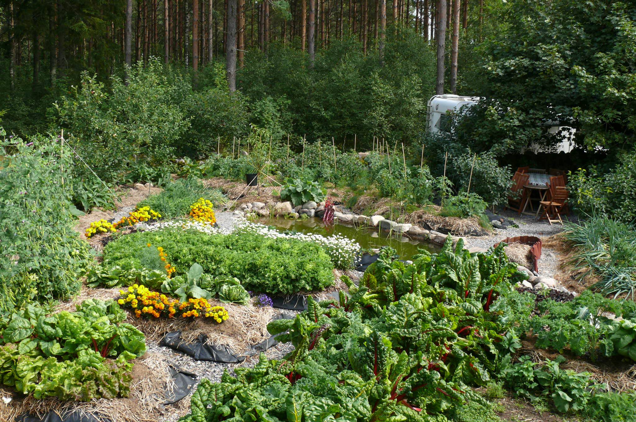 Permakulturgarten mit Teich und Hügelbeet