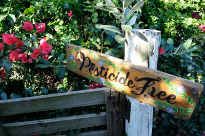 Plant Strengtheners: Preventive Plant Protection Without Chemicals