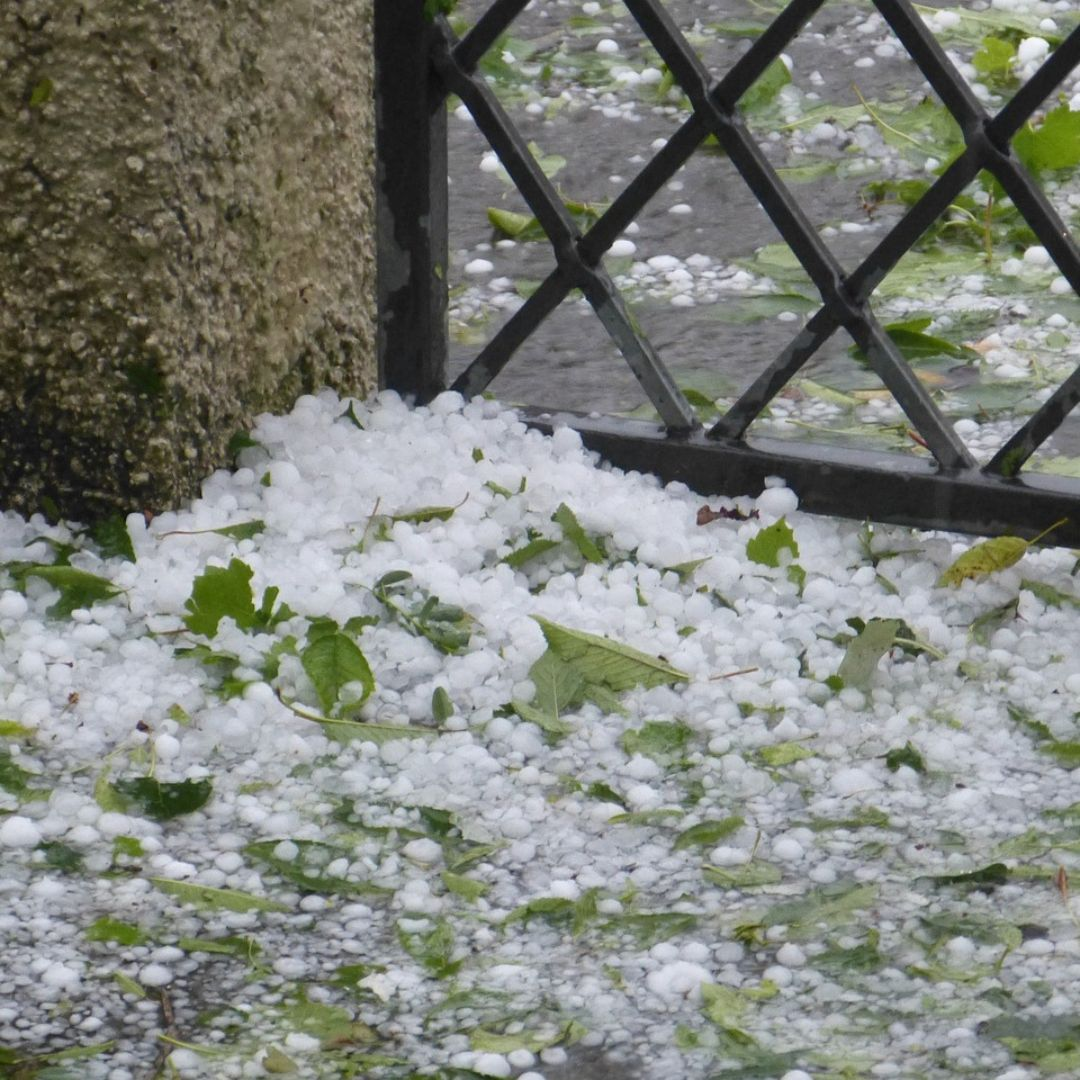 Hagel