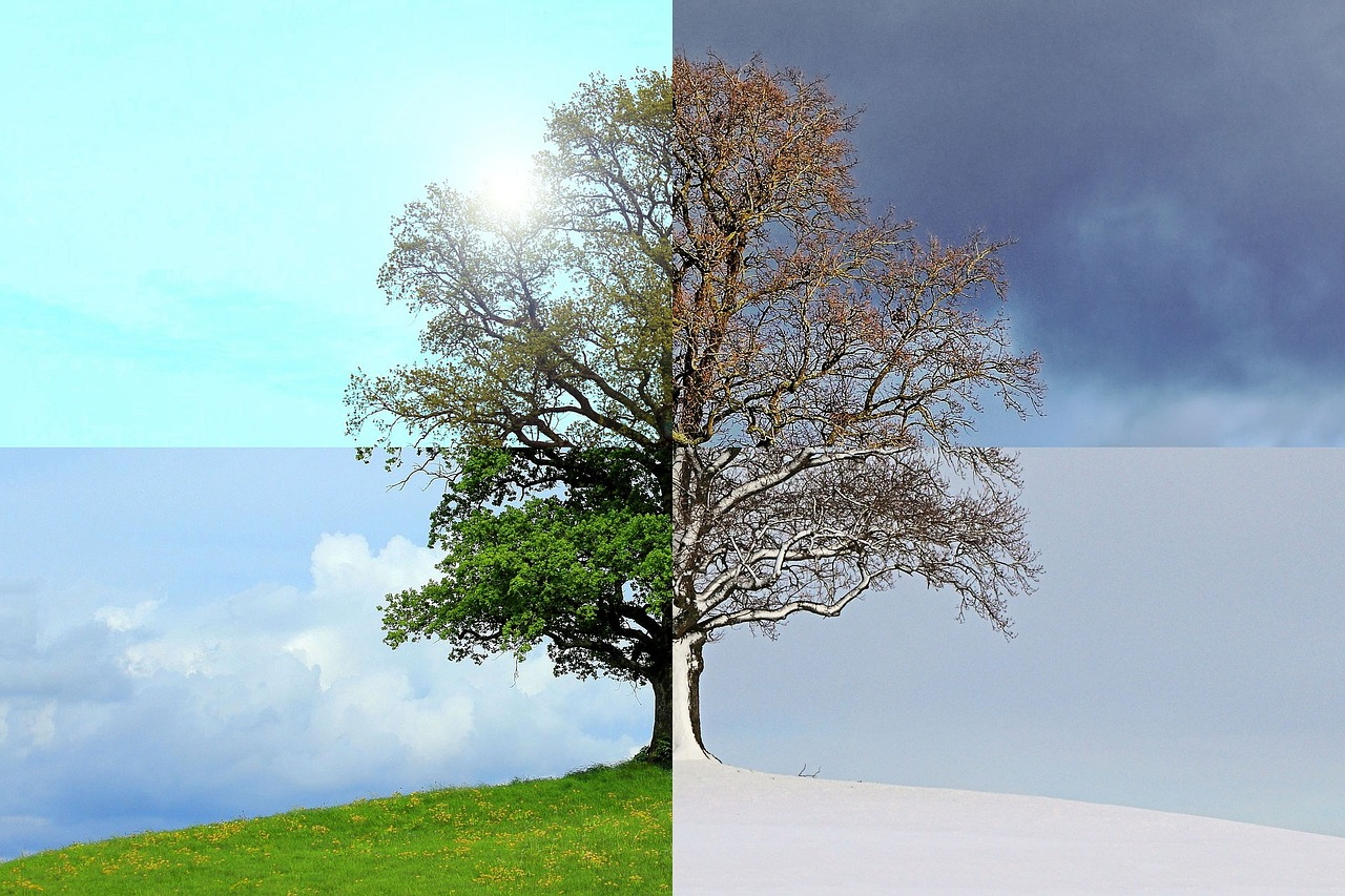 Phenological Calendar: Phenological Seasons & Indicator Plants at a Glance