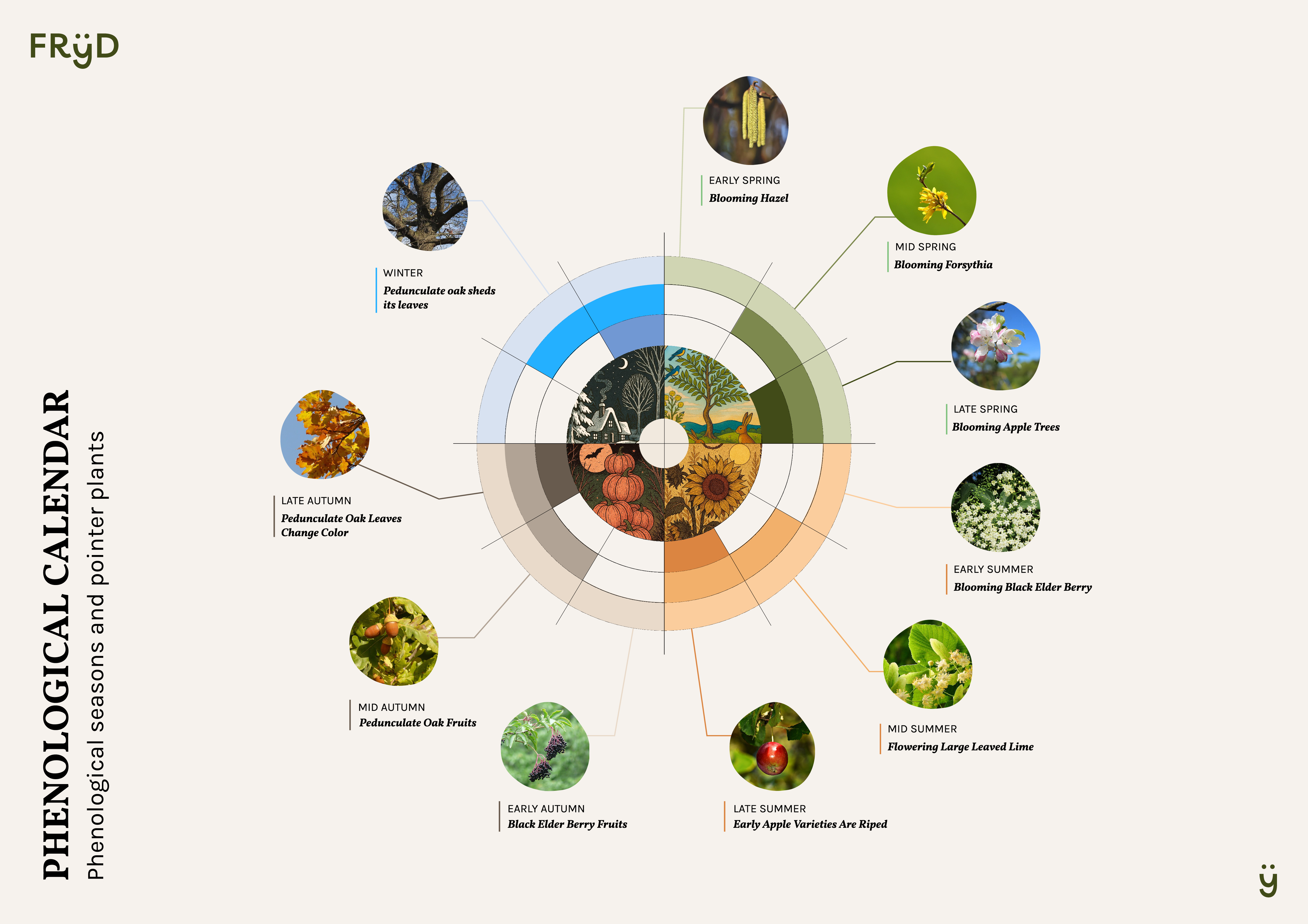 phenological-calendar-fryd.pdf