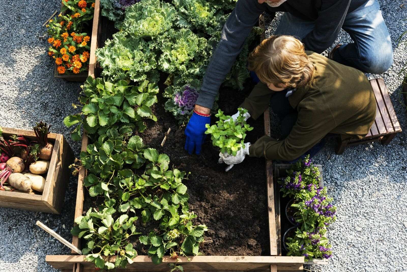 Small Vegetable Garden, Big Harvest - Here’s How
