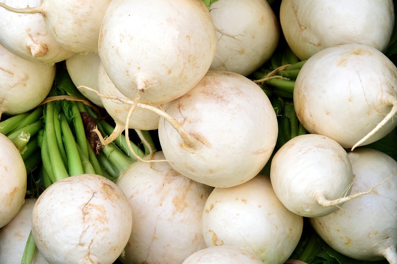 Round, white radish