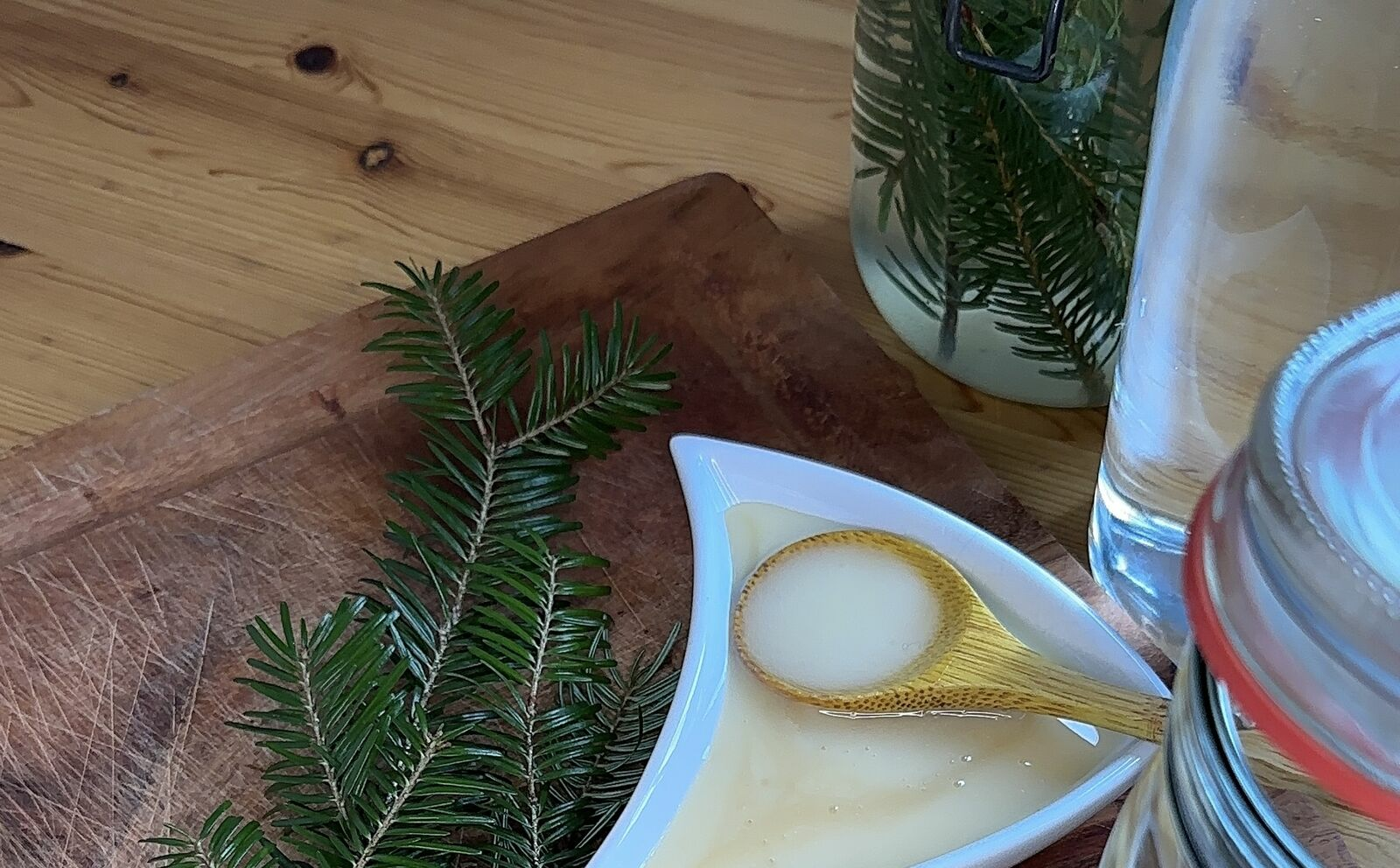 Collecting Pine, Fir, and Spruce Needles: Making Your Own Pine Soda