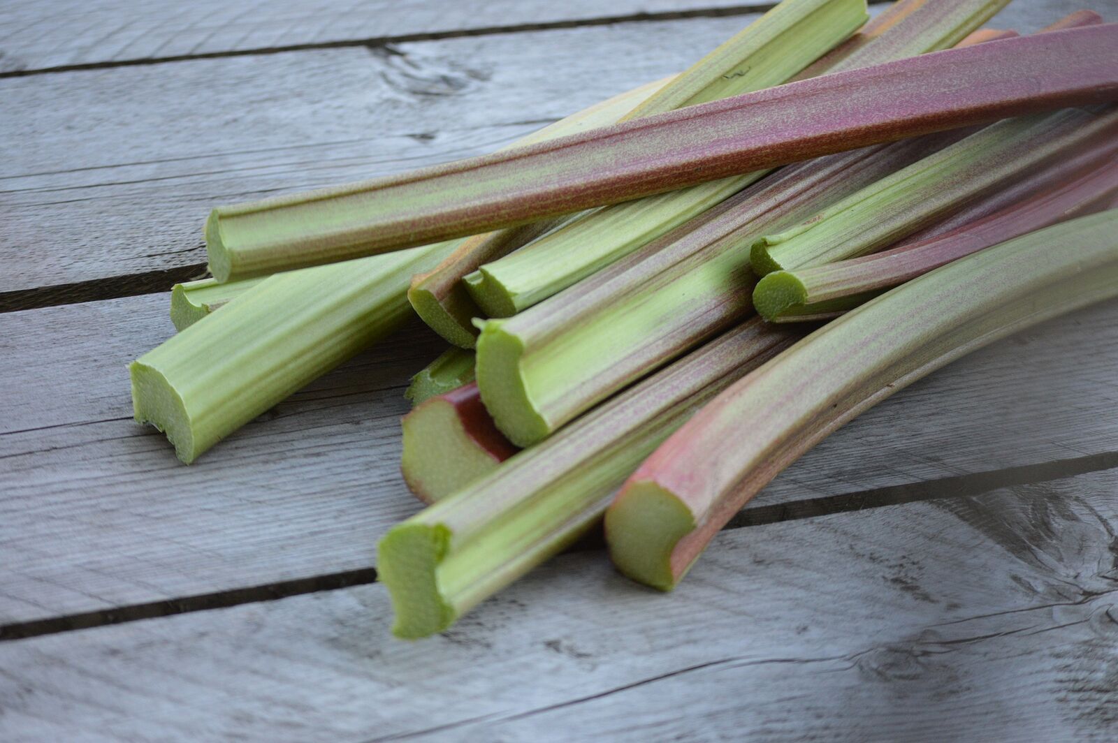 Green rhubarb