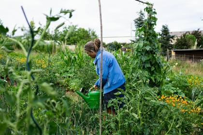 How can we save water while watering plants?
