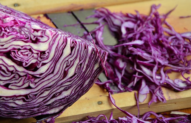 Frisch geschnittener Rotkohl für Rotkraut