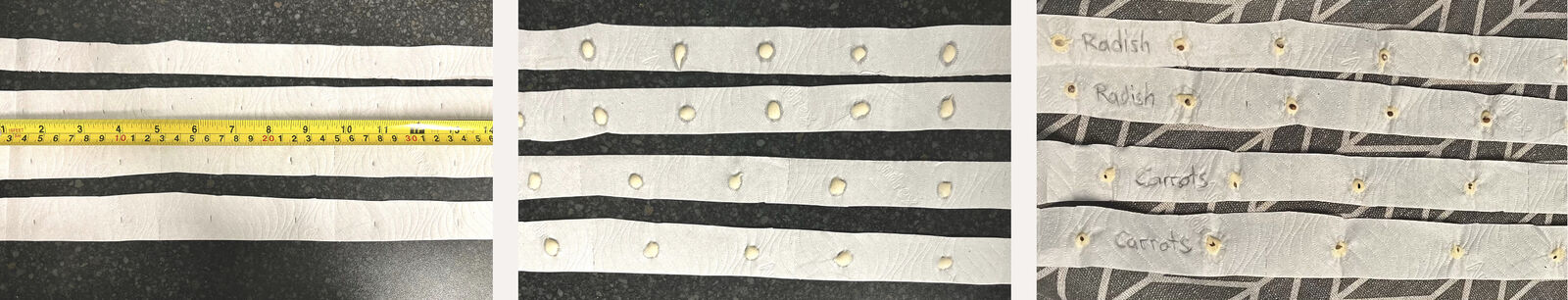 Making seed tape from toilet paper