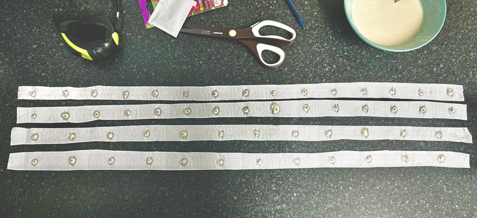 How to Make Seed Tape: Instructions & Tips
