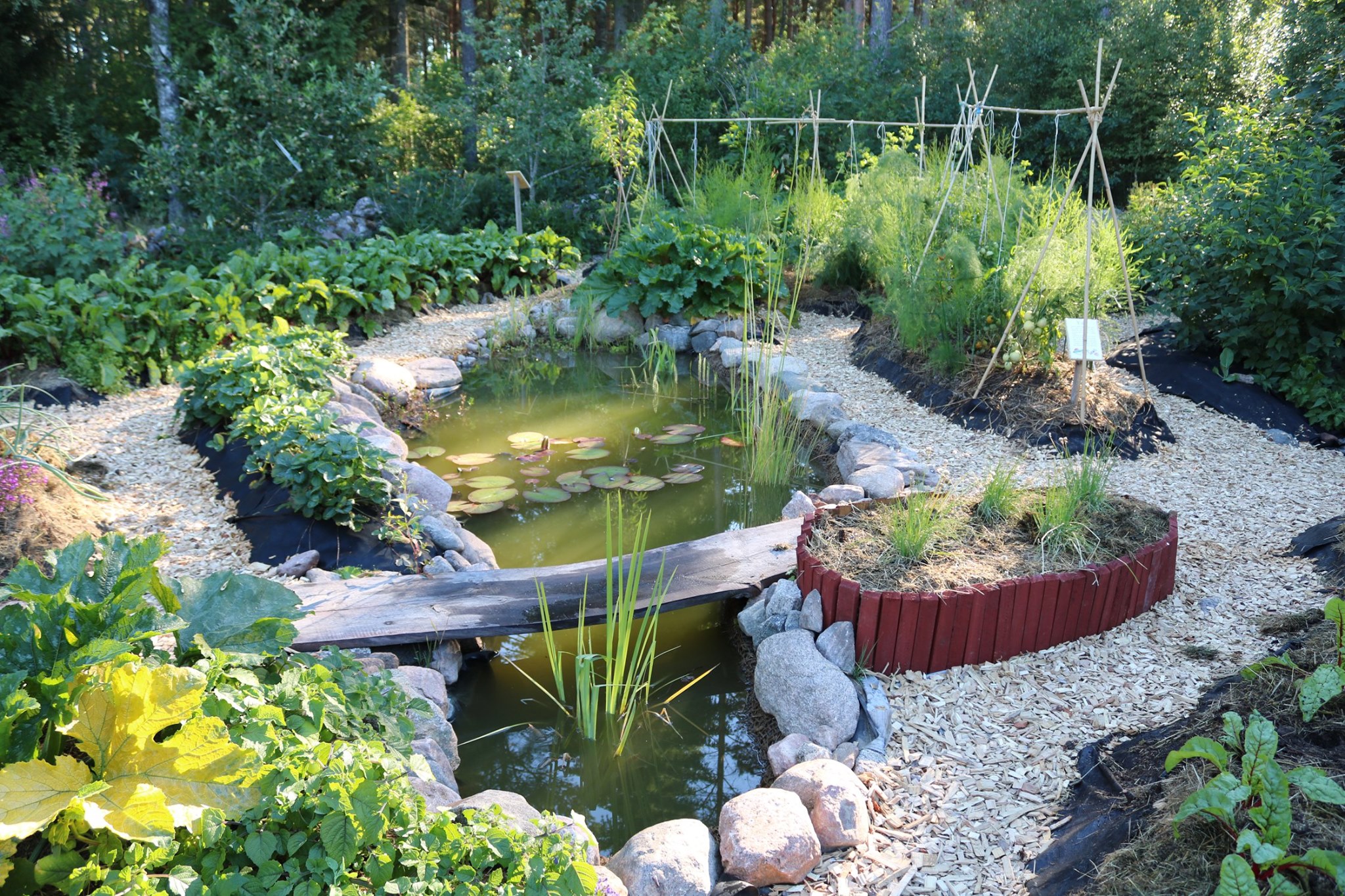 Garden with raised beds