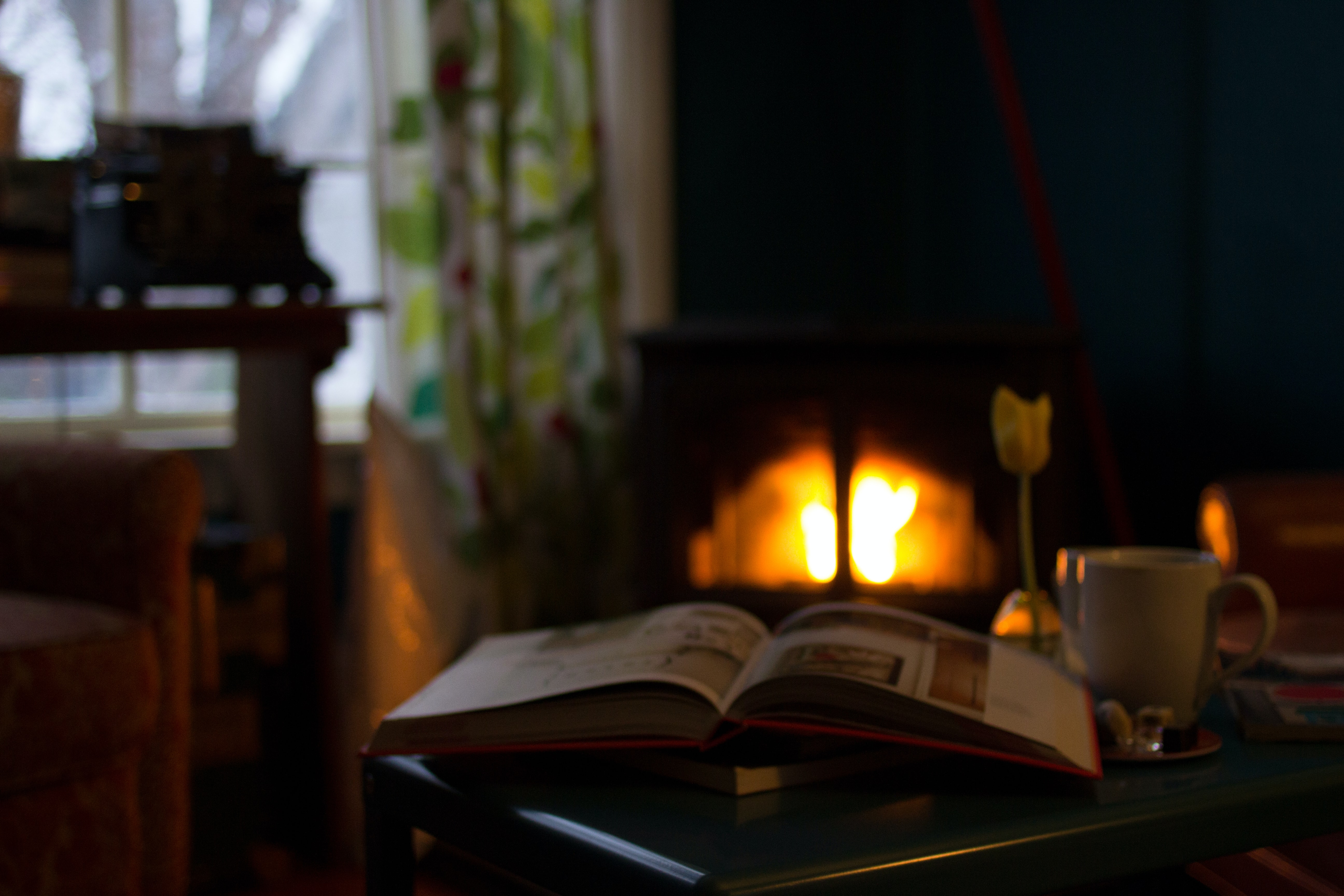 Cozy garden planning in the living room