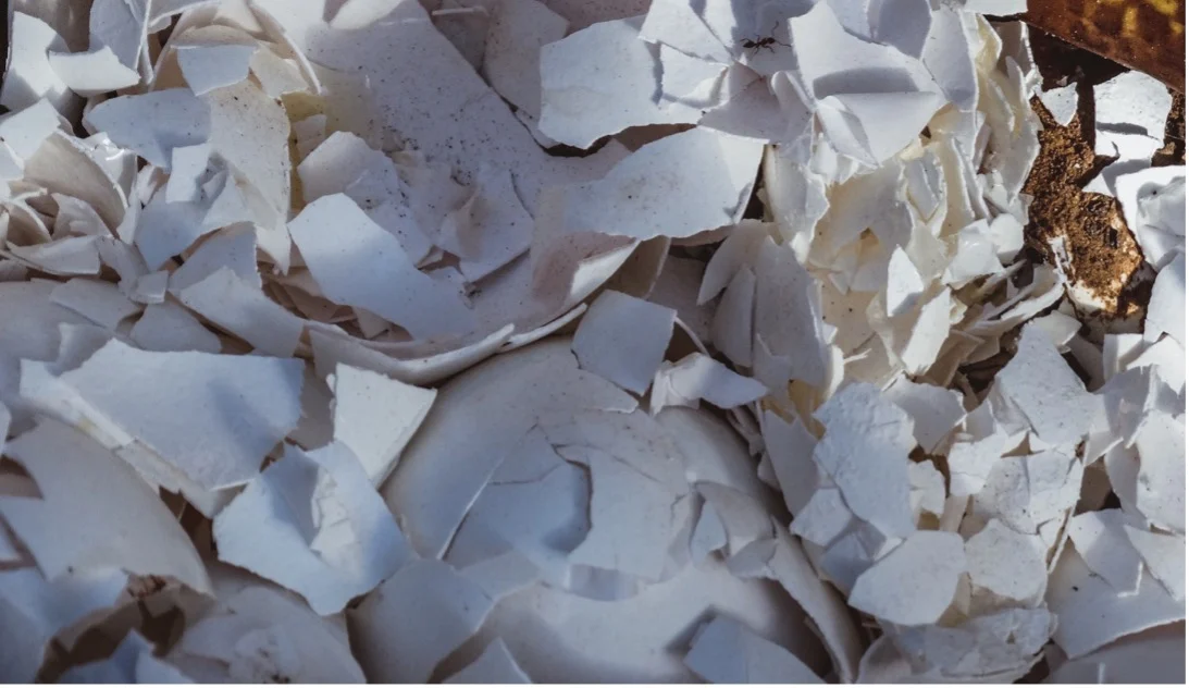 Eggshells as fertiliser