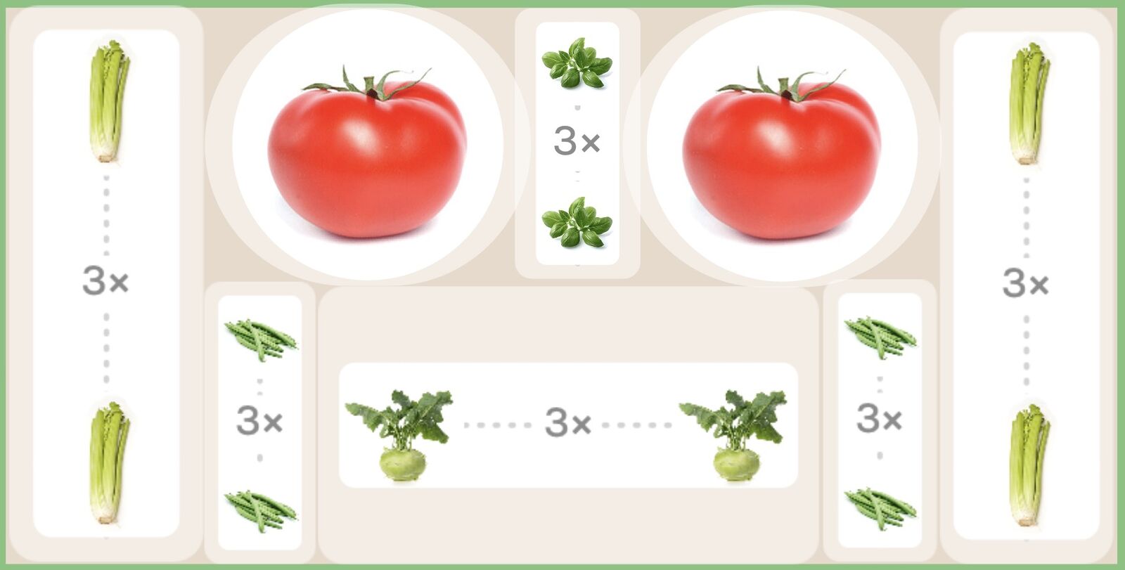 Celery planting plan for raised beds