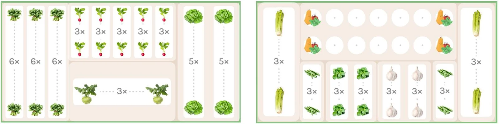 Celery mixed crop planting plan for pre- and post-cultivation