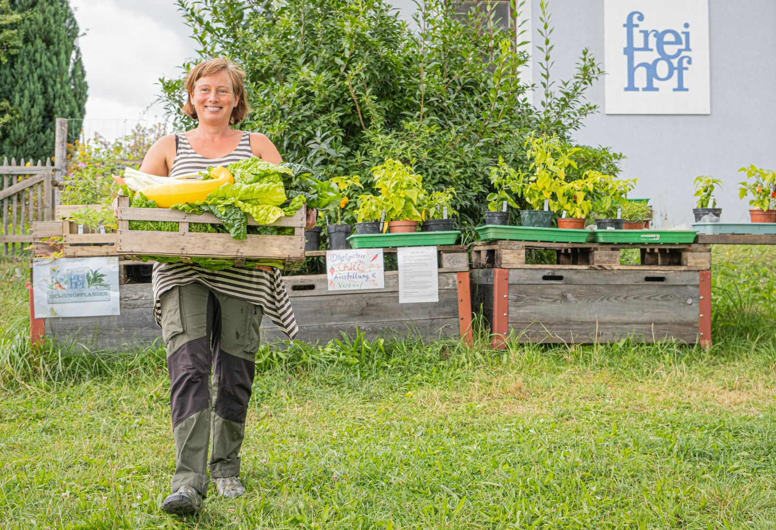 Sigrid Drage on Obtaining Your on Seeds