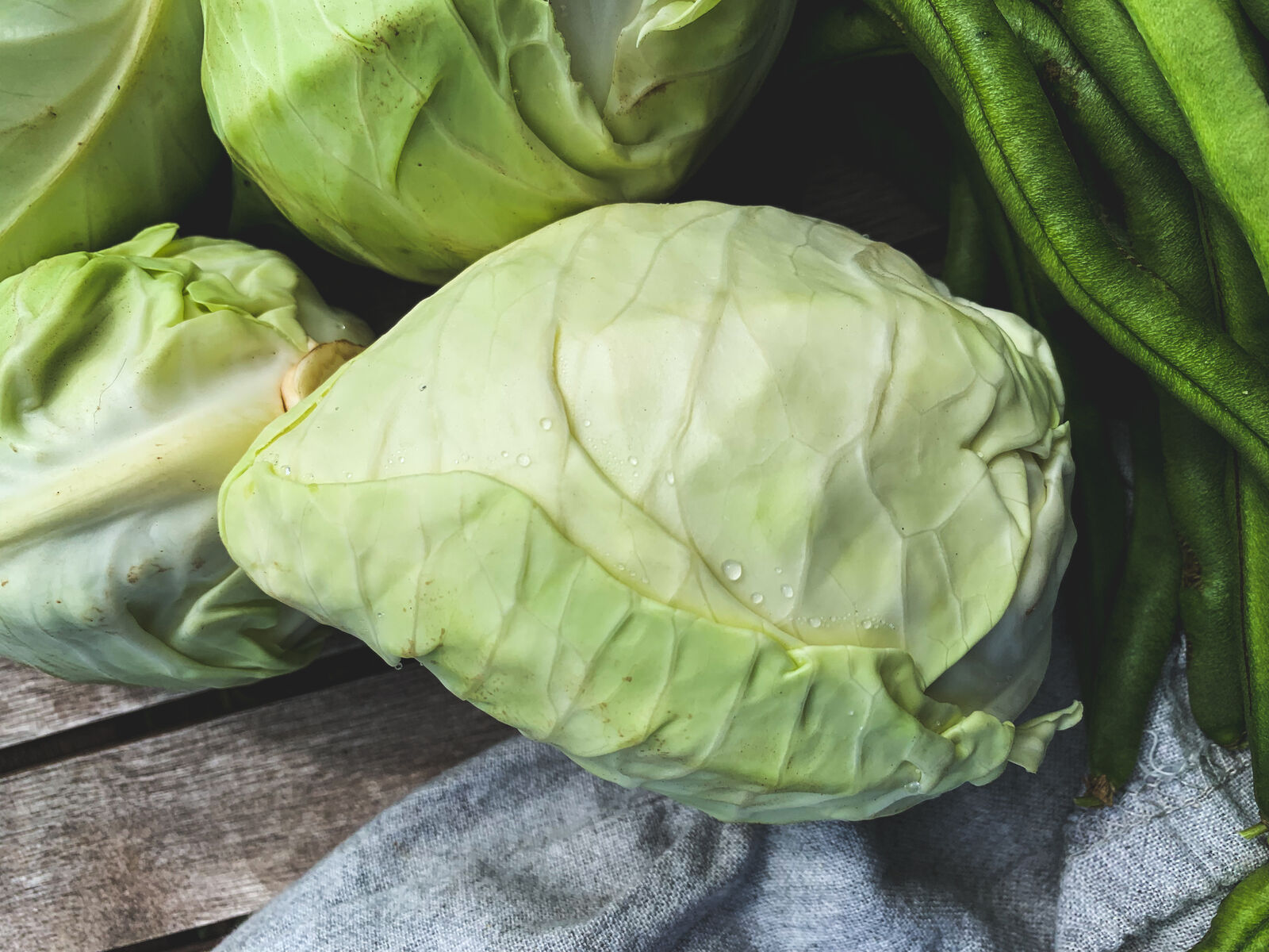 Pointed cabbage freshly harvested