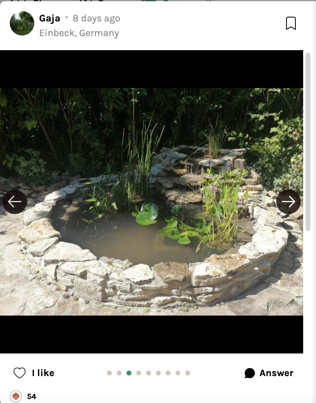 Natural Pond
