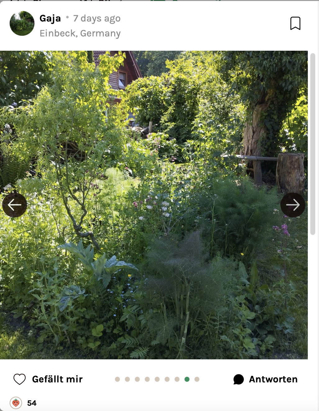 Naturnaher Garten