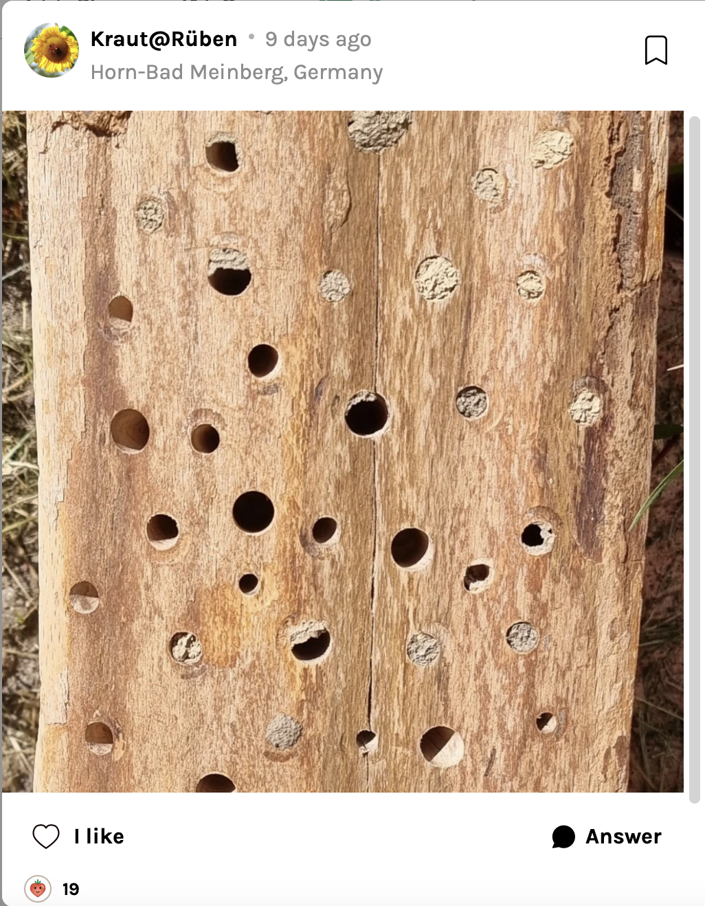 Bee hotel