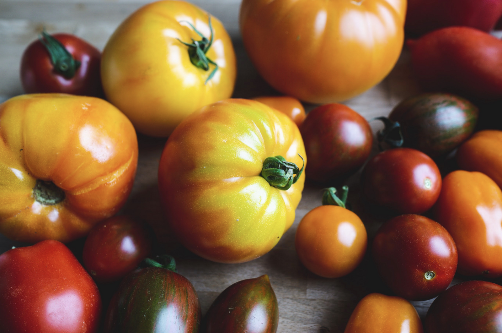 Viele Tomatensorten
