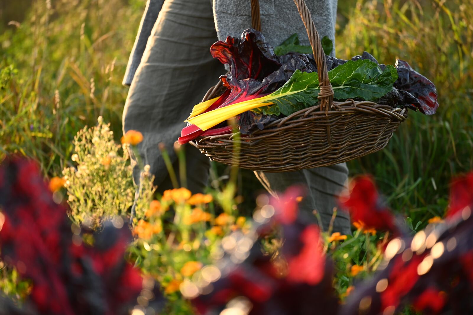 resilienter Klimagarten mit großer Biodiversität