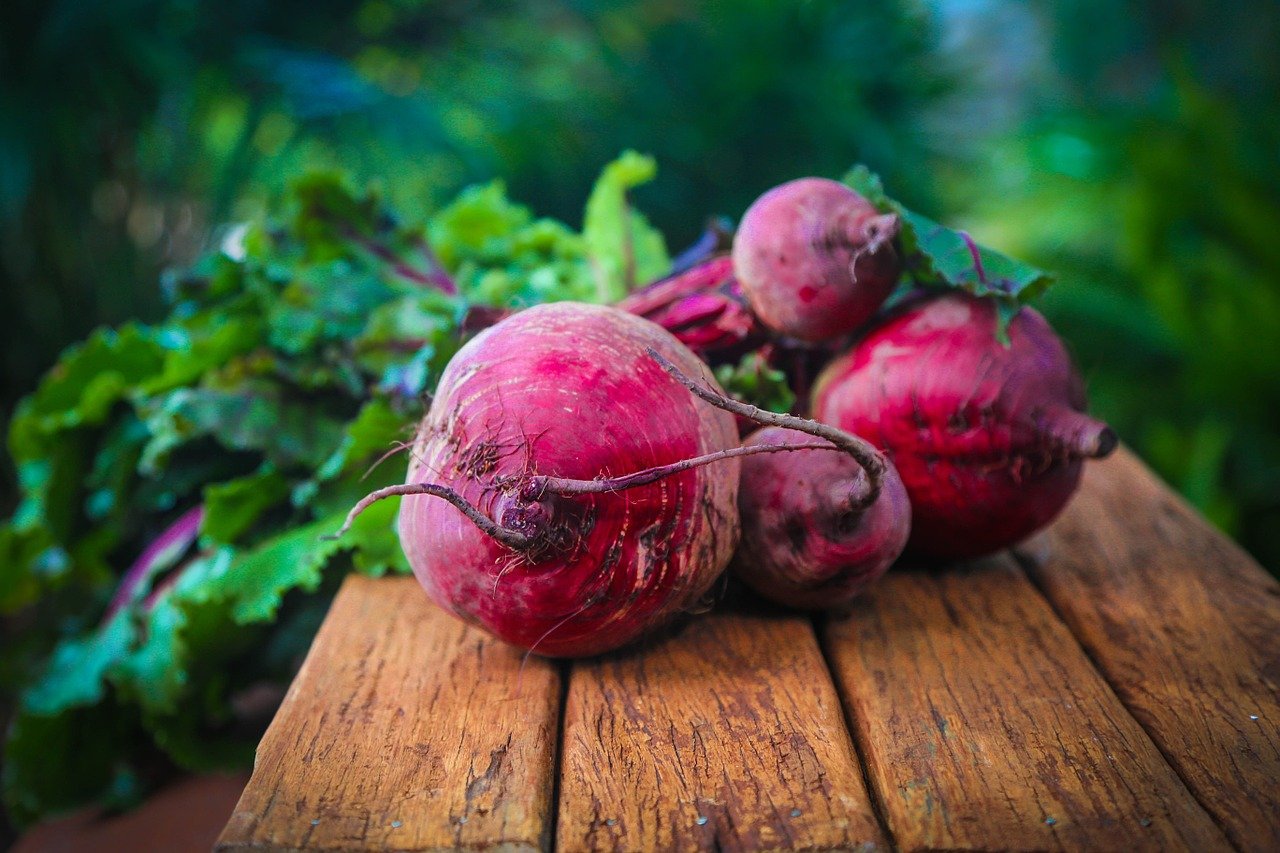 Harvested beetroot 