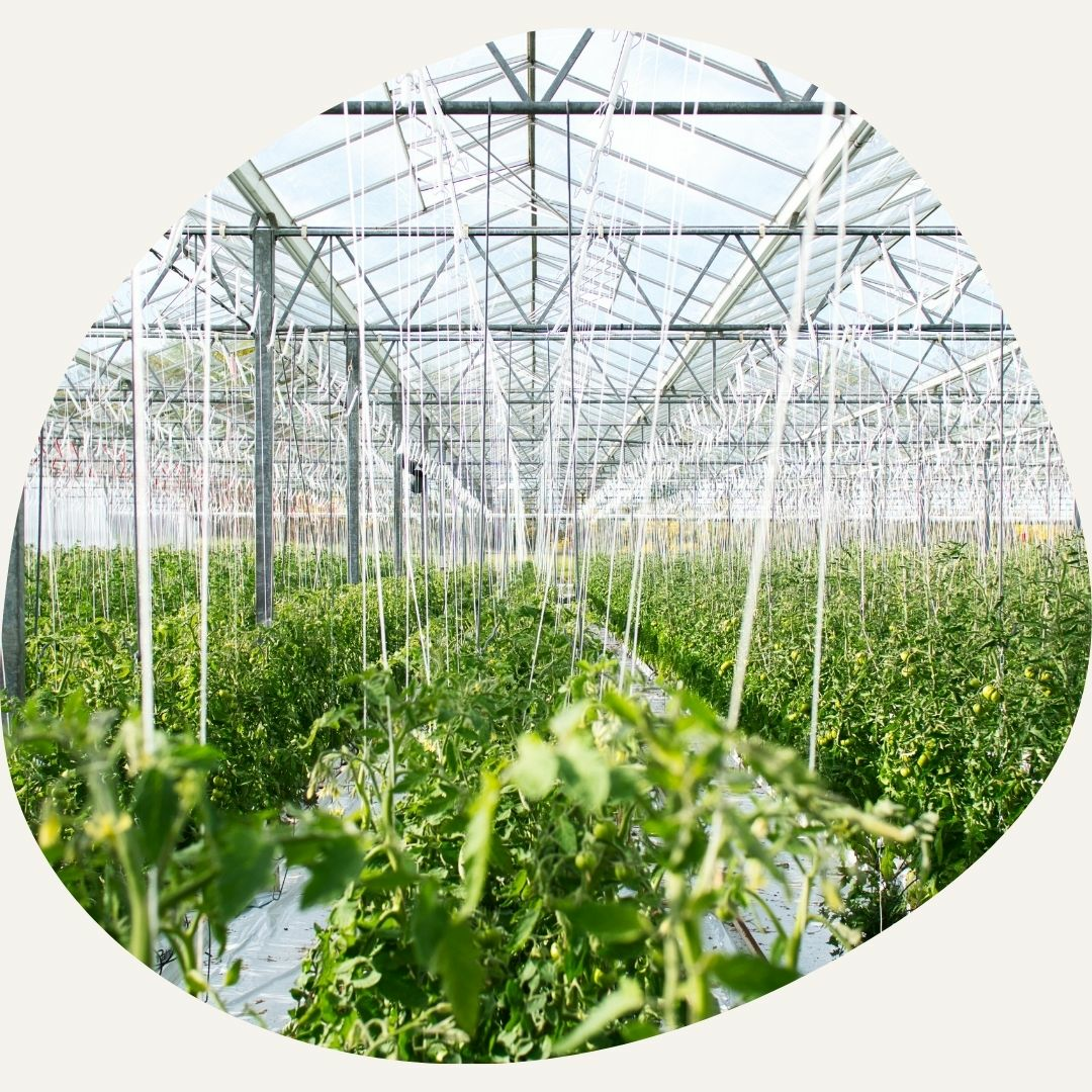 Versuchsfelder Wissenschaft 