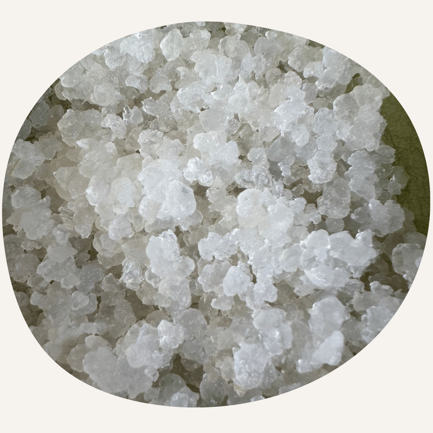 Wasserkefir Kristalle