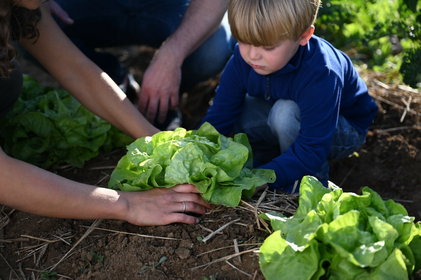 Challenges and Consequences of Climate Change: Tips for Dealing With Water Scarcity