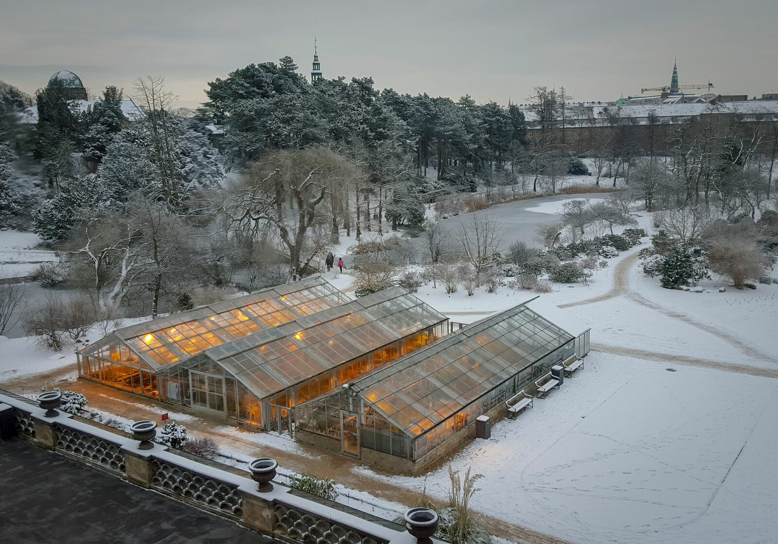 What to Grow in a Greenhouse in Winter?