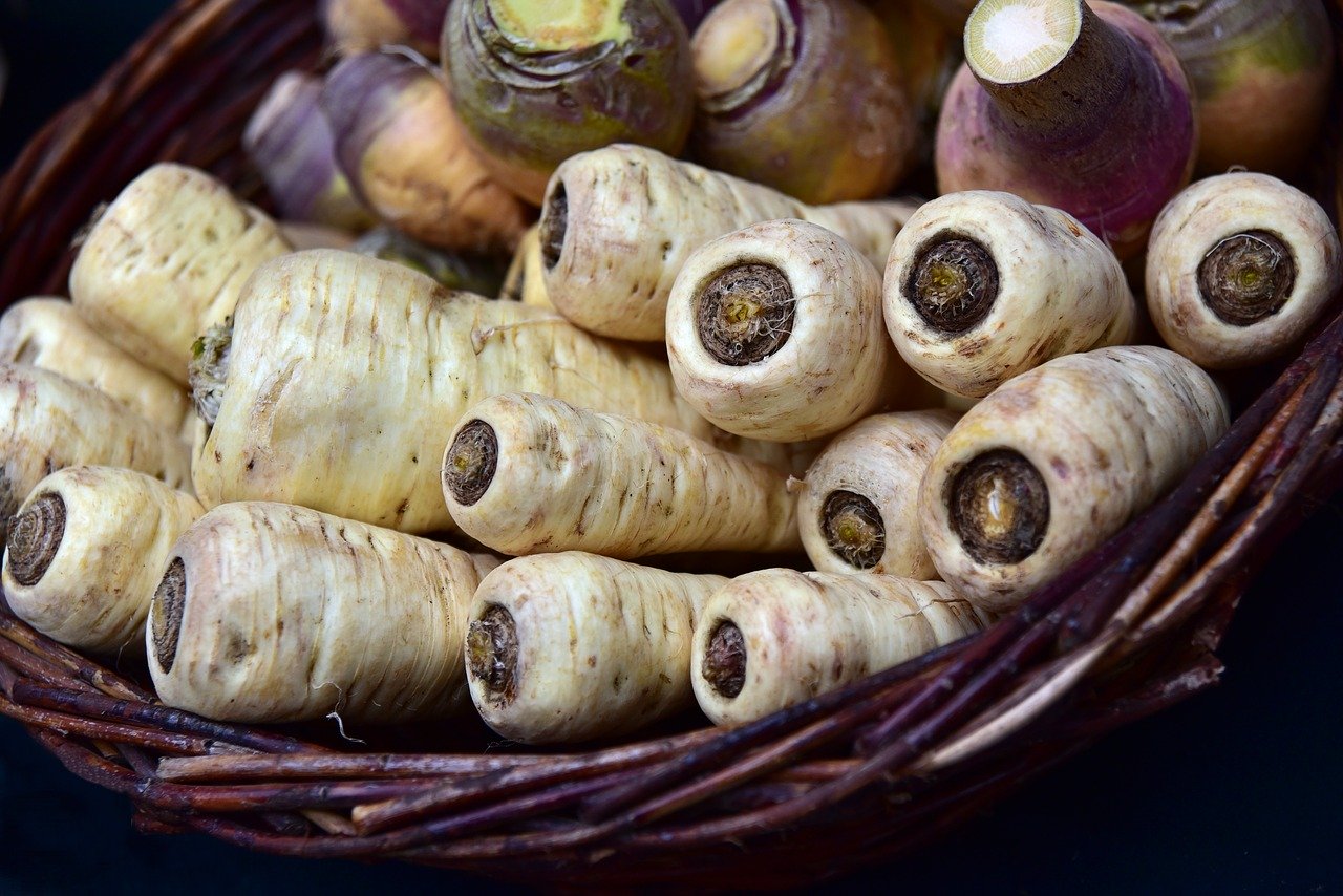 Pastinake ist ein gutes Wintergemüse